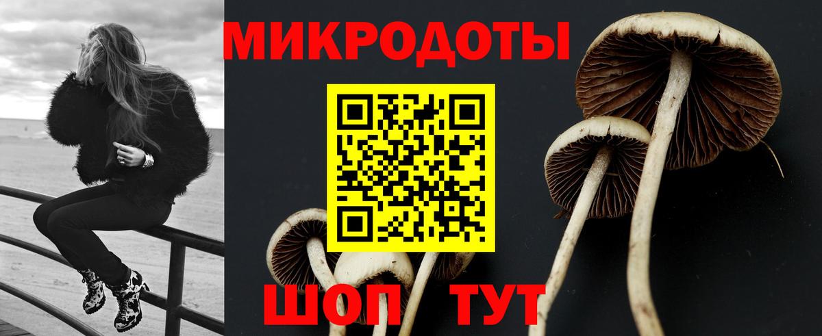 Галлюциногенные грибы GOLDEN TEACHER Горно-Алтайск